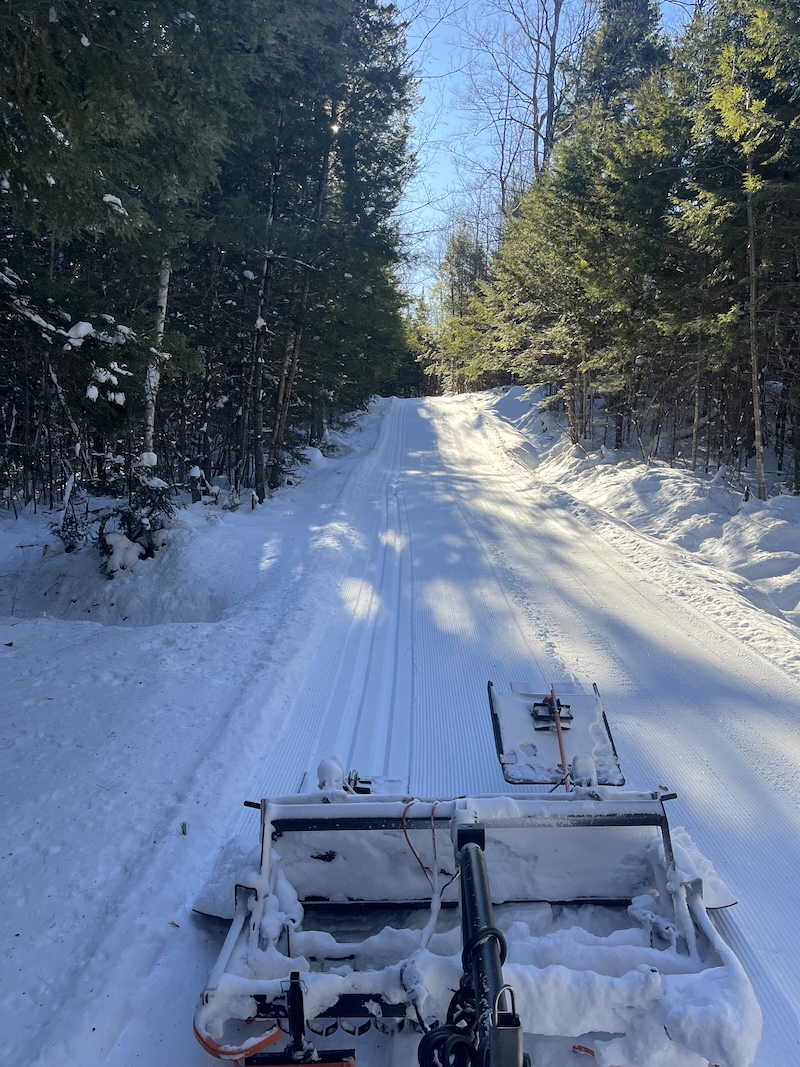 Today's groming photo