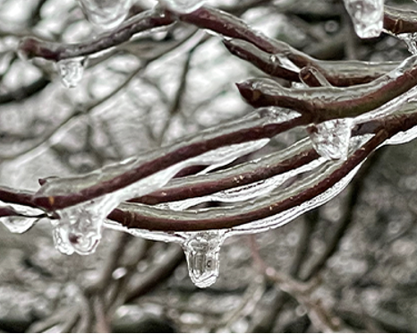 ice storm